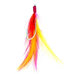 Worm & Feather Baits