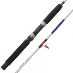 Boat Fishing Rods