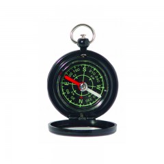 Compasses & Whistles