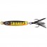 Yellow Perch
