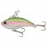 Rainbow Trout