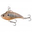 Real Sunfish