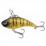 Yellow Perch