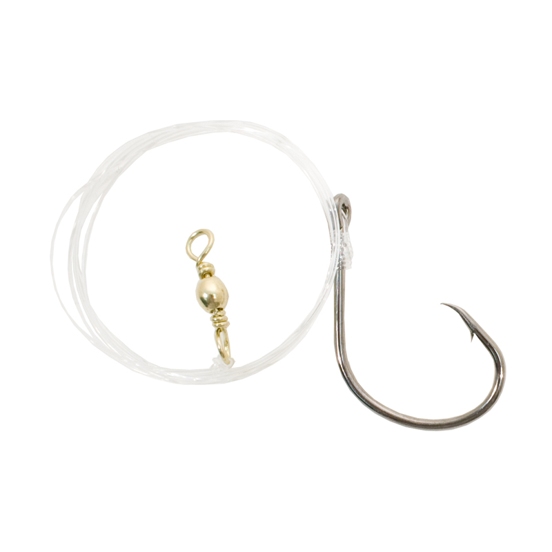 catfish rigs, catfish rig, cat fish rigs, catfishing rigs, catfish rigs for rivers, catfish rigs for river fishing, catfish rigs for lake, catfish rigs fishing