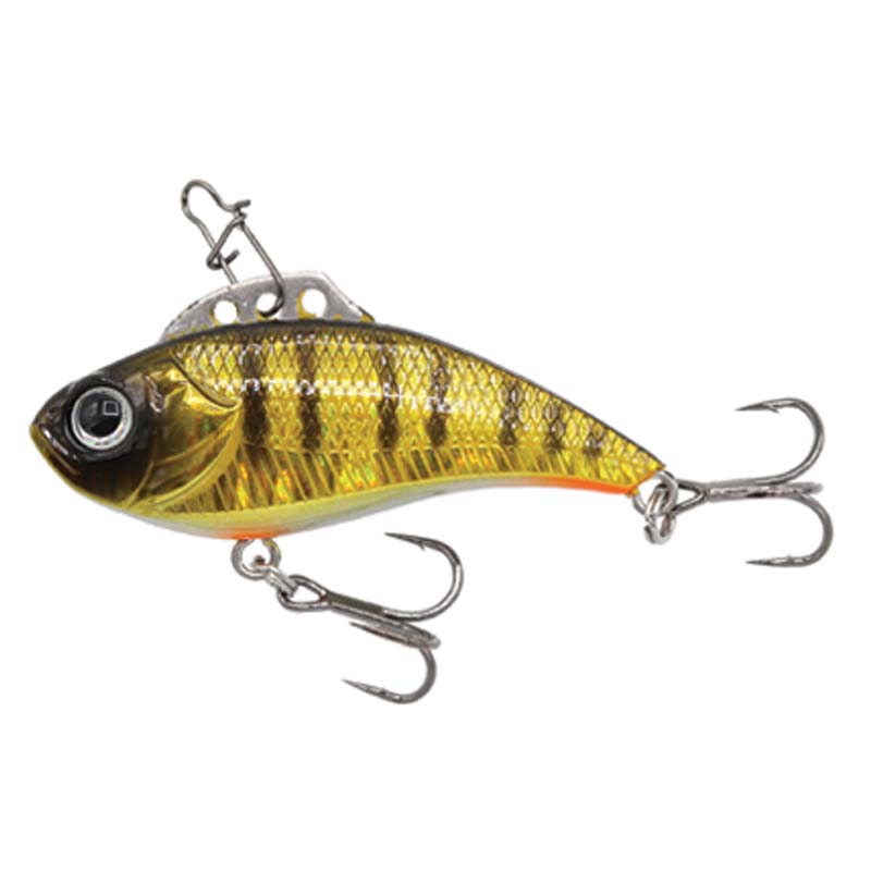 Yellow Perch