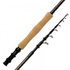 Spare fly fishing rod tips