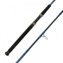Titan rods